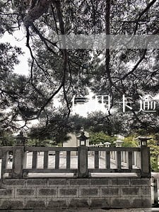 信用卡逾期 坏账 销账 信用卡逾期 坏账 销账